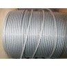 Métre de câble galvanisé diamètre 2 avec gaine plastique de 3 mm SN° 678-1
