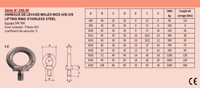 anneau-male-diametre-22-filete-en-inox-din-580-ce-sn-246-5