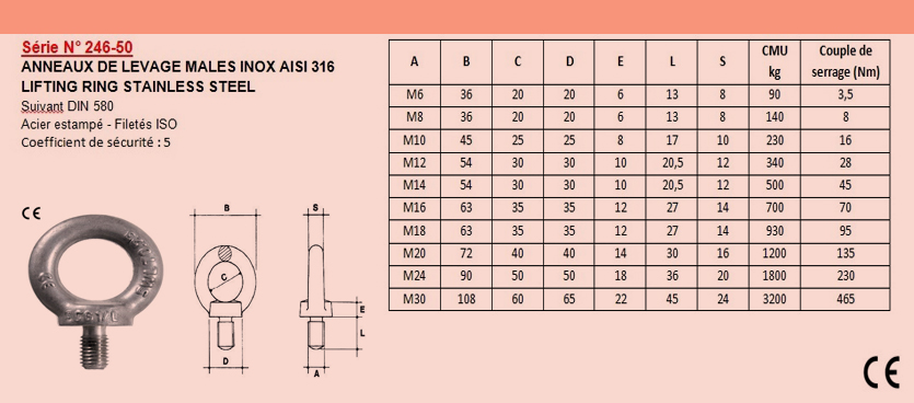 anneau-male-diametre-filete-en-inox-din-580-ce-sn-246-5