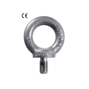 Anneau mâle diamètre 30 fileté en inox DIN 580 CE SN° 246-5